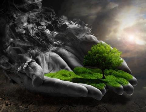 gift of nature