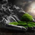 gift of nature
