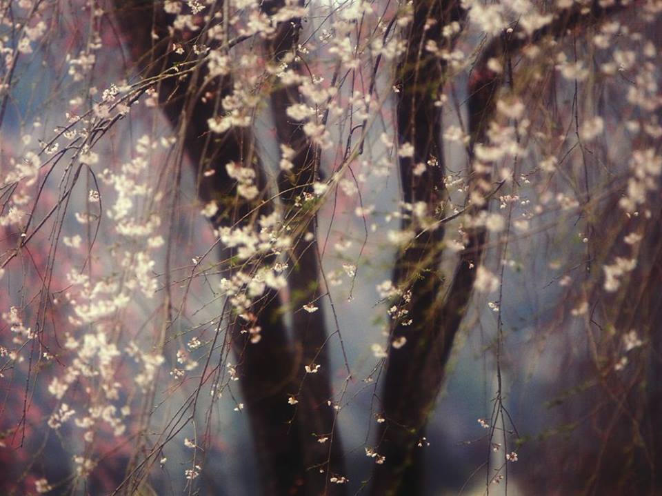 reflets