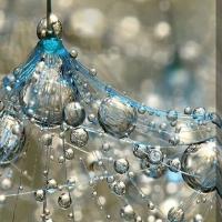 Bulles d eau