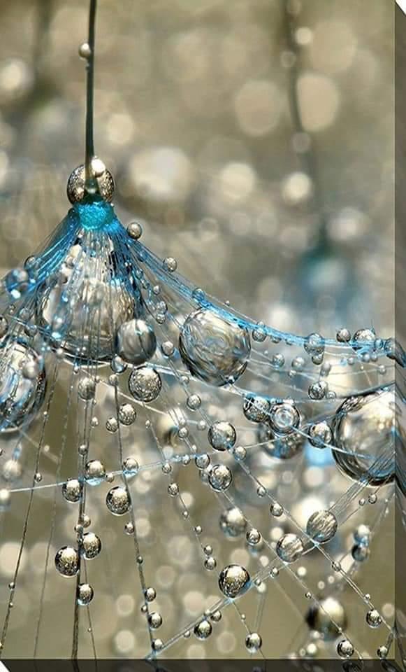 Bulles d eau