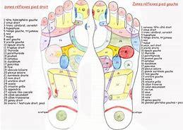 Carte reflexologie plantaire