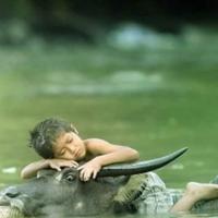 Enfant buffle deau