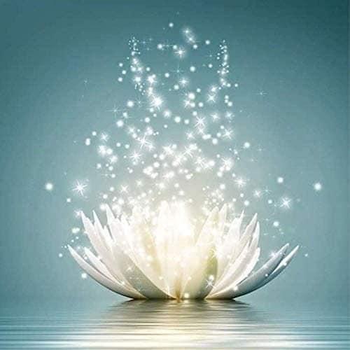 Lotus lumineux